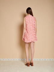Dresses Peach Pink | Sister Jane online